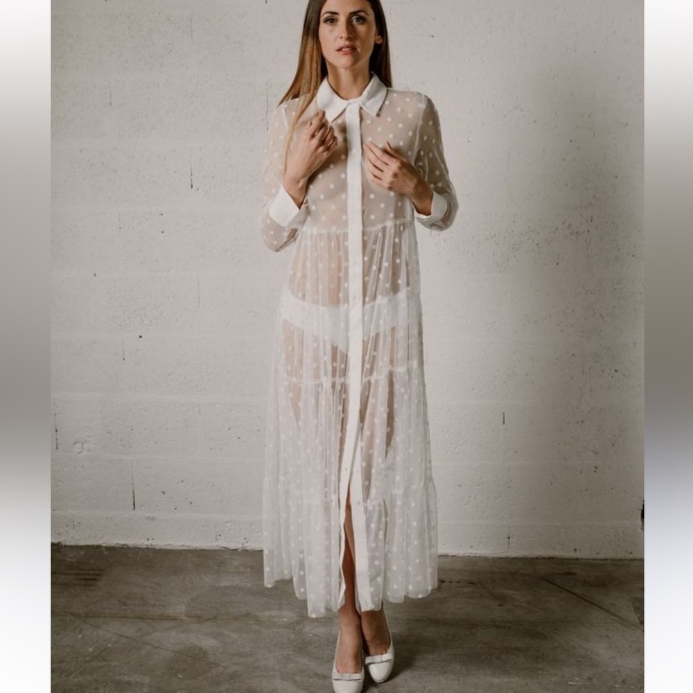 Zara Divine Ecru Polka Dot Tulle Maxi Dress. Like NEW Medium - Picture 4 of 17